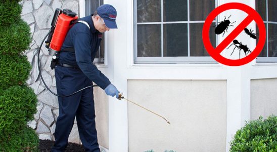 Niğde Dezenfeksiyon böcek ilaçlama ve haşere kontrolü — ilaclama-tr.com